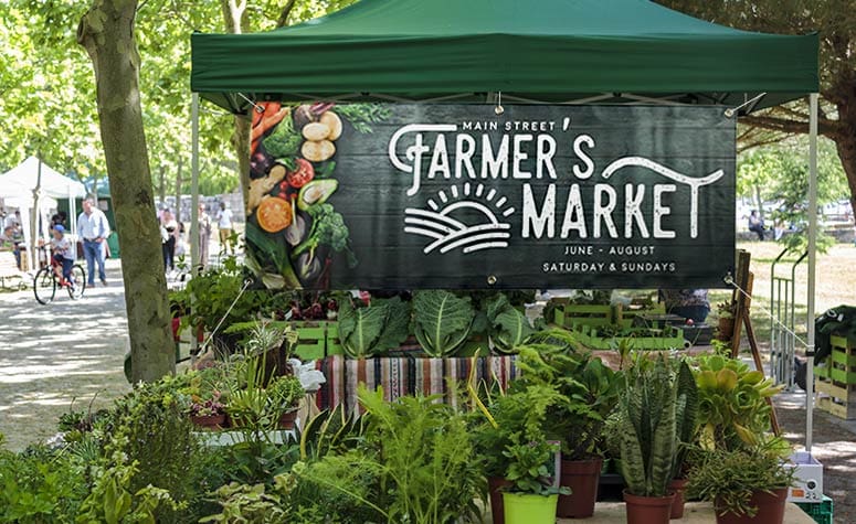 A farmers market with lots of plants and flowers.